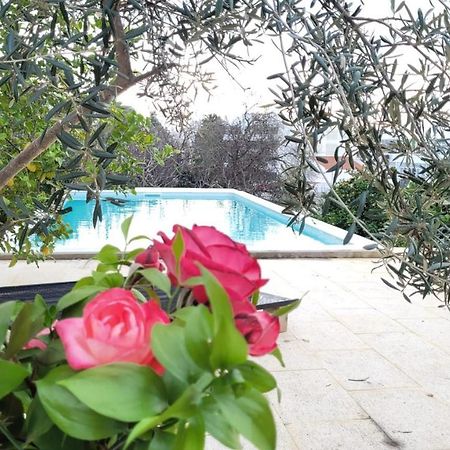 הוילה Quelfes La Casa D'Olhao מראה חיצוני תמונה